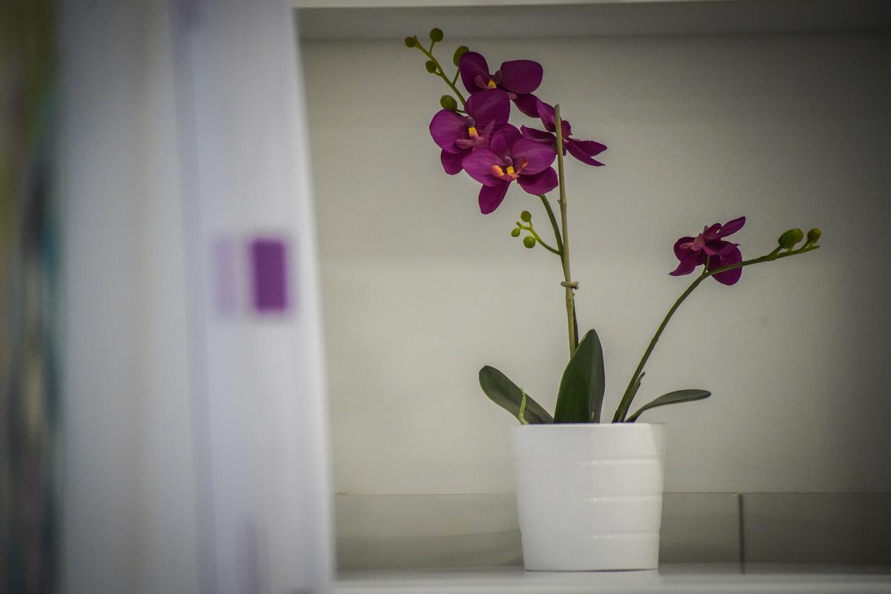 Apartments Grepo Sljeme Makarska Luaran gambar
